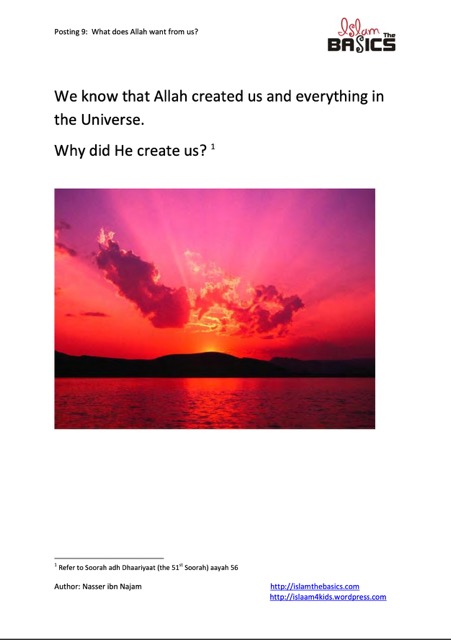 What does Allah want from us