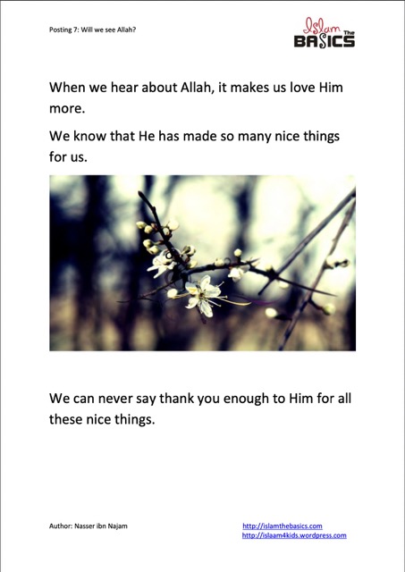 Will we ever see Allah